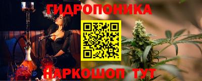 СК Бийск