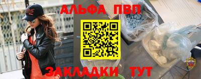 СК Бийск