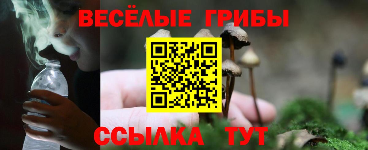 Галлюциногенные грибы Cubensis Каменск-Уральский